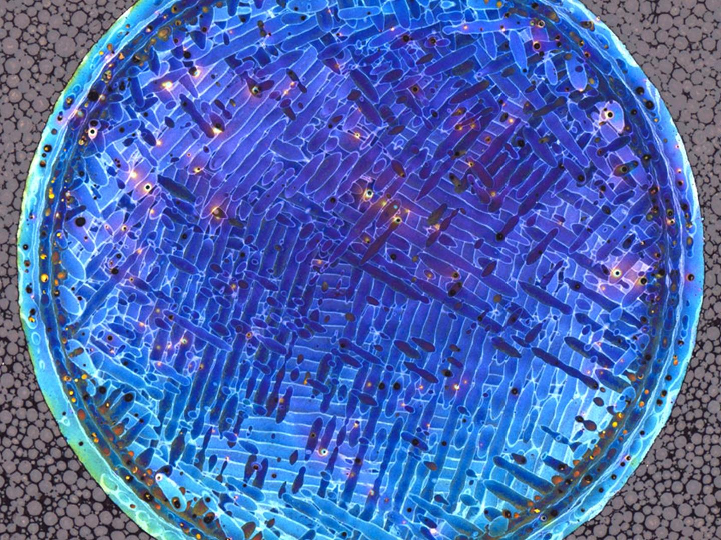 孔隙率分析图像。