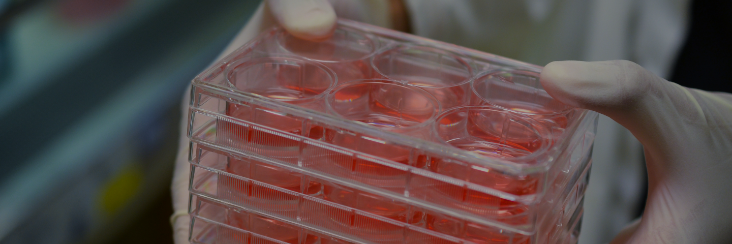 细胞培养多孔板