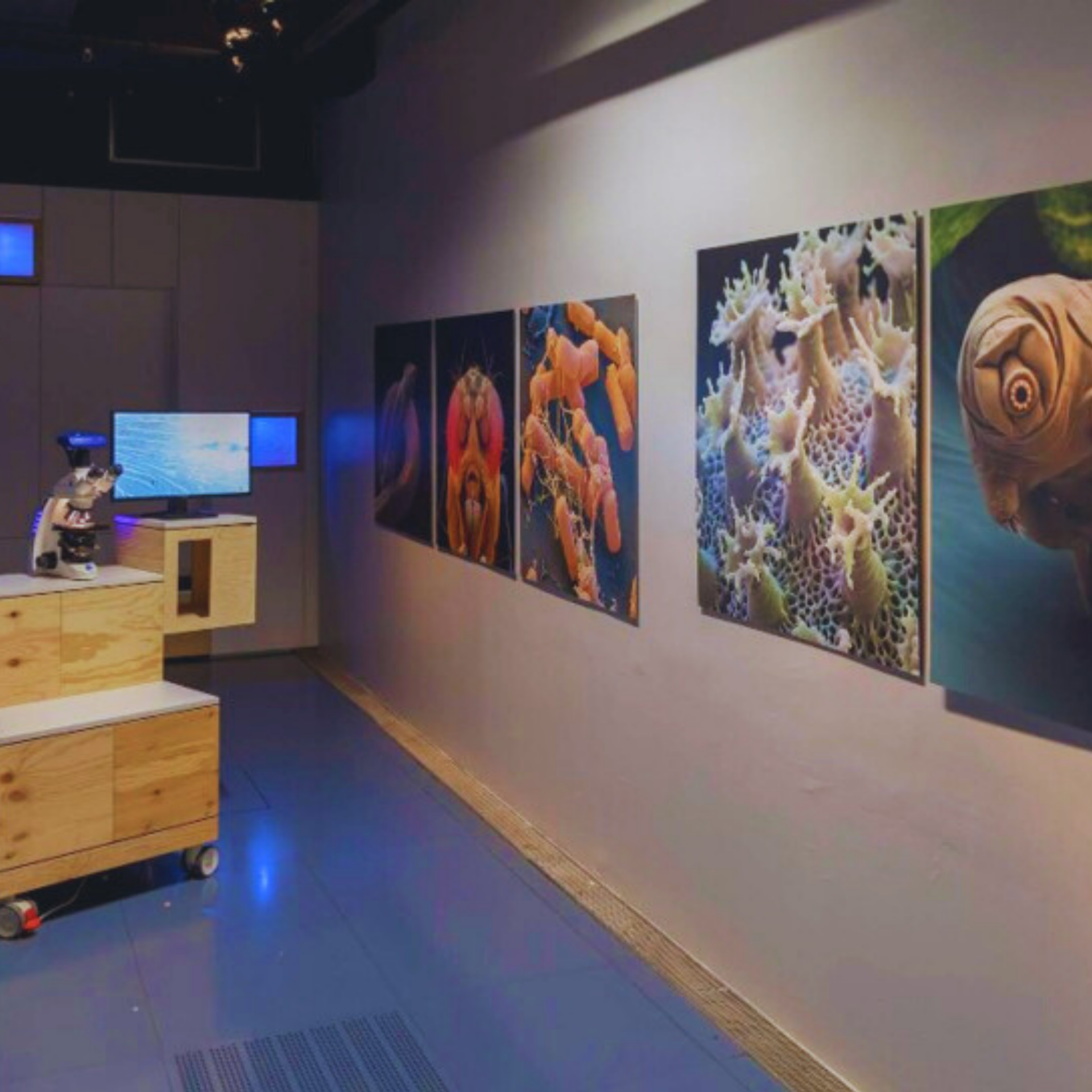 奥地利林茨电子艺术中心