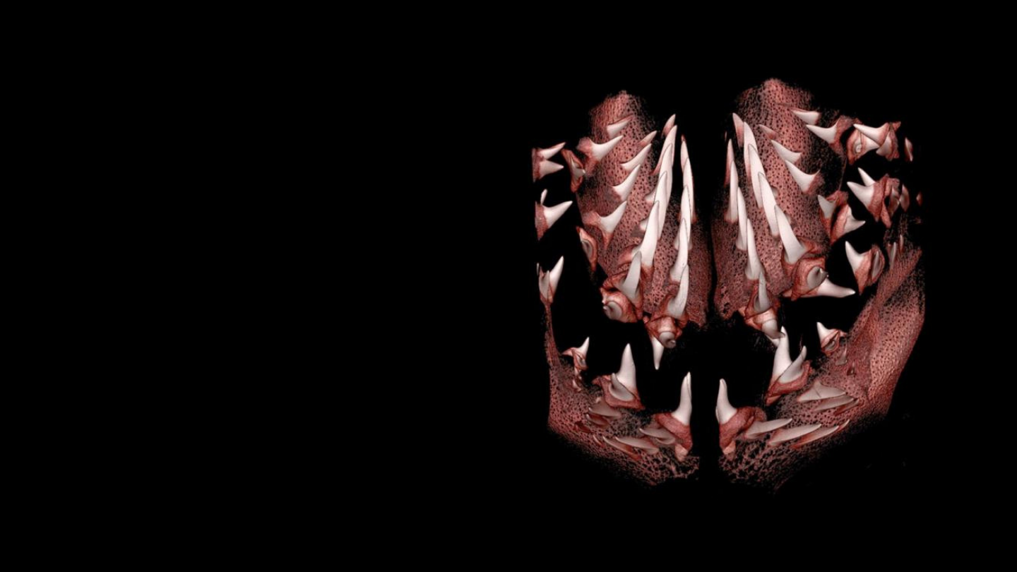 显微镜下的文物保护和博物馆文物玻片