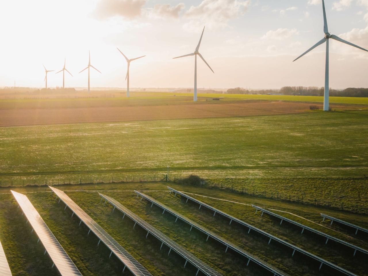 晴空下，绿地上铺展着太阳能板，远方地平线上矗立的风力涡轮机与之遥相呼应