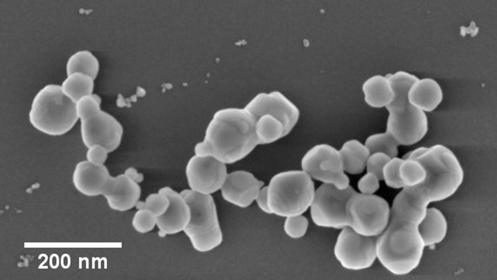 加强纳米粒子研究：铈铁合金纳米粒子的高分辨率扫描电子显微镜图像是从场发射扫描电子显微镜成像到图像分割这一端到端显微镜工作流的第一步