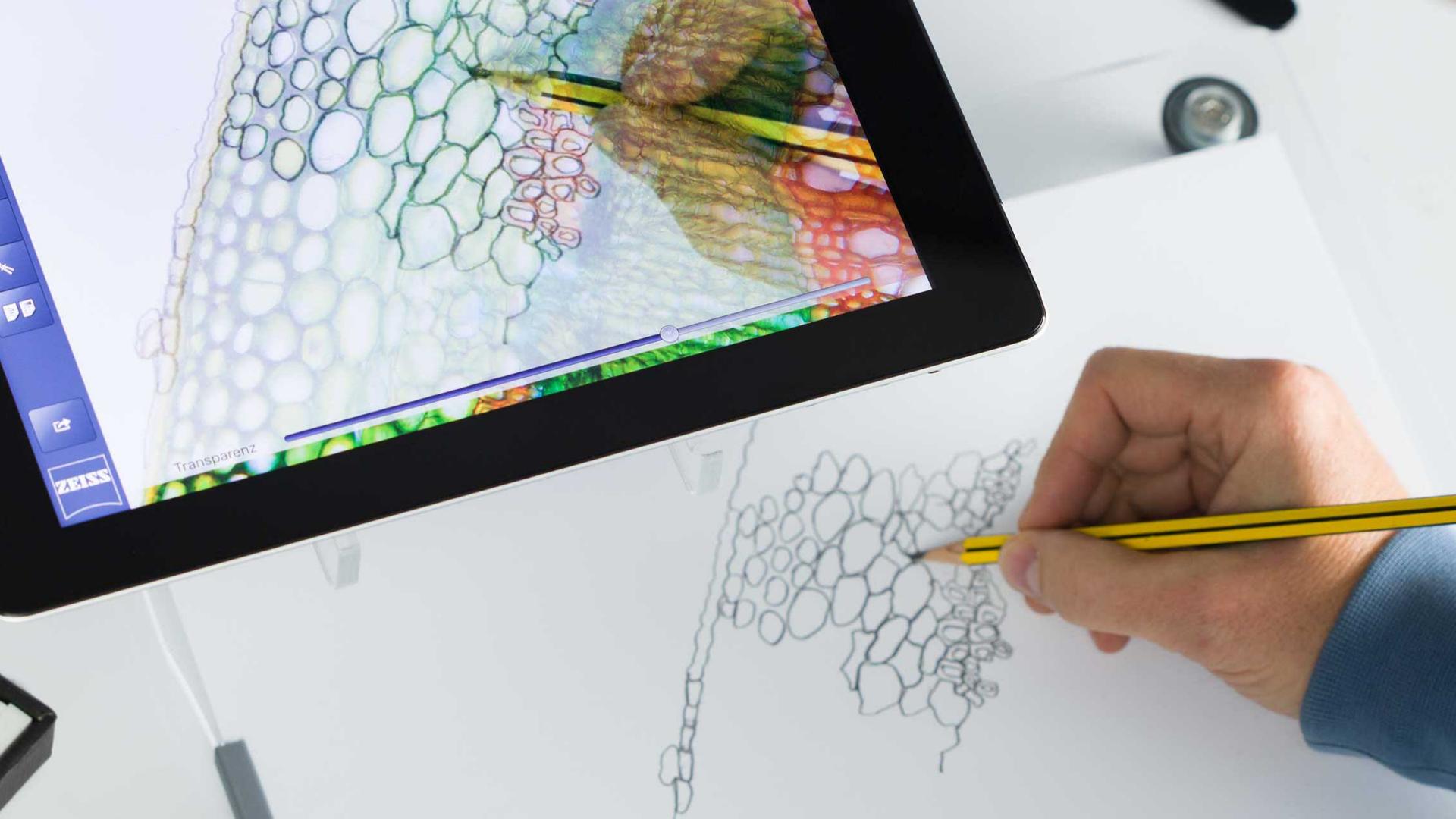 教育和教学显微镜