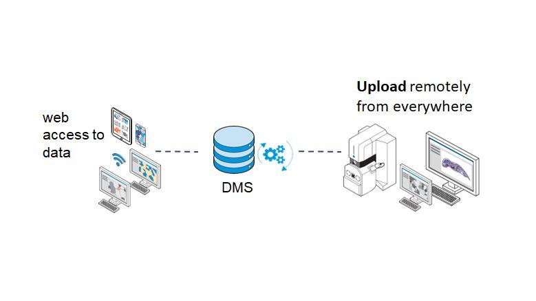 蔡司arivis Hub DMS数据流图示