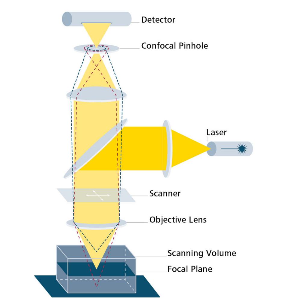 用于材料研究的共聚焦蔡司LSM 900