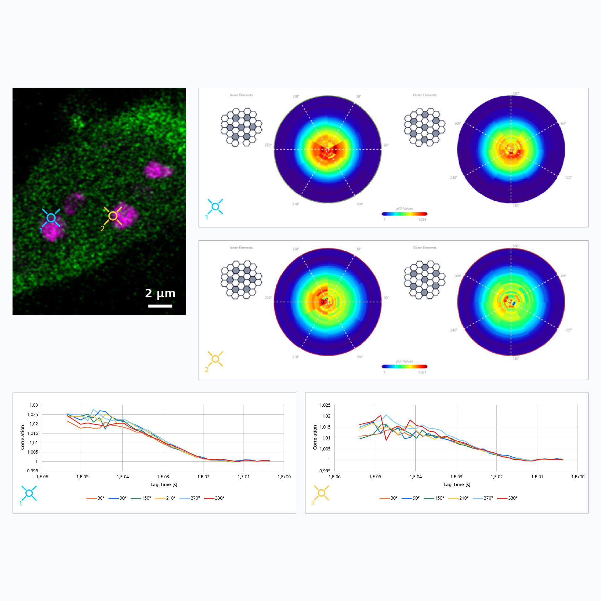 对活体U-2 OS细胞进行Dynamics Profiler测量，确定核仁边界的动态变化。 