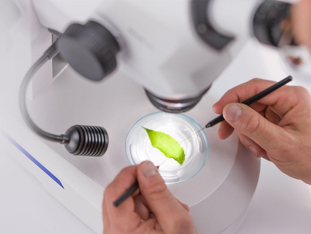 购买或试用Axioscope 5