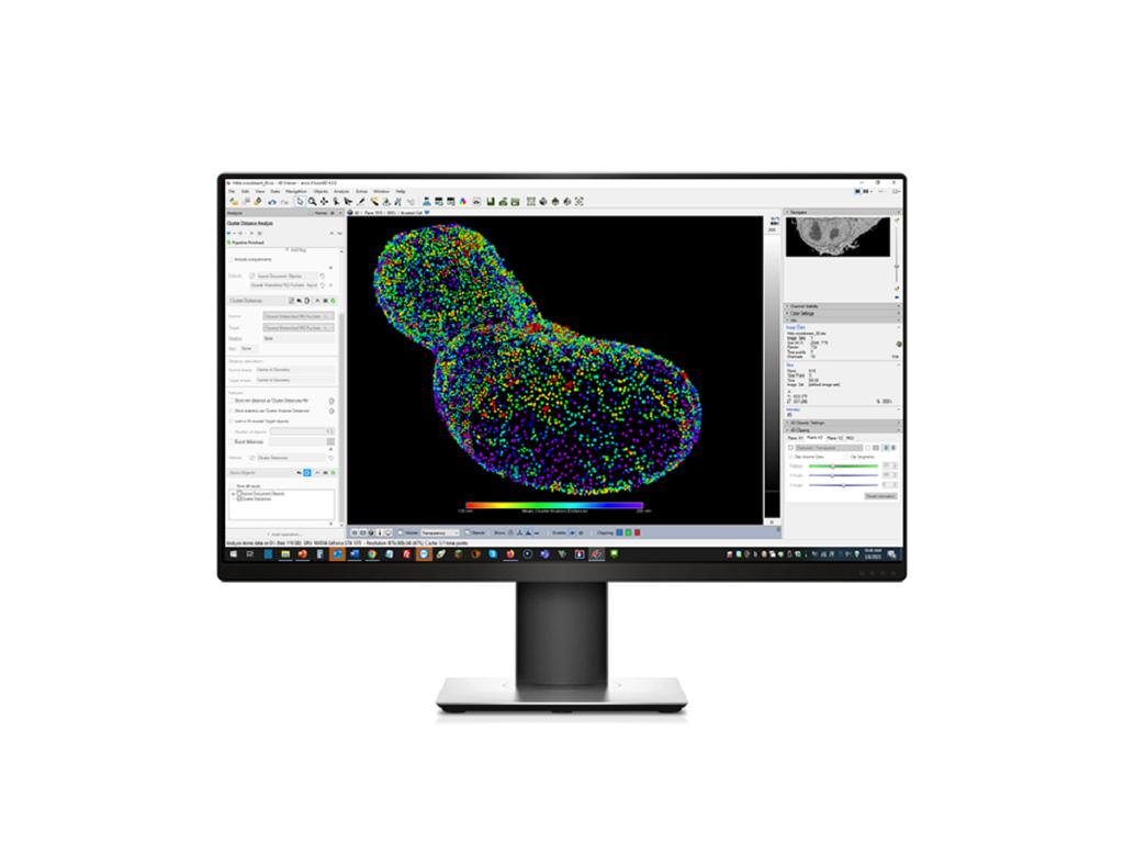 蔡司arivis Pro软件产品照片