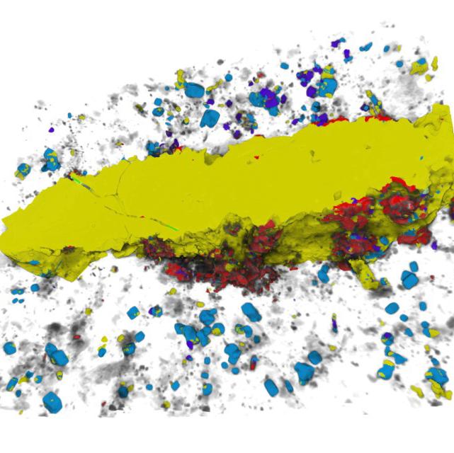 搭载Phase Identifier 3D的蔡司X射线显微镜可提供定量矿物学信息，并揭示花岗岩中黄铁矿-辉钼矿脉的结构关系。