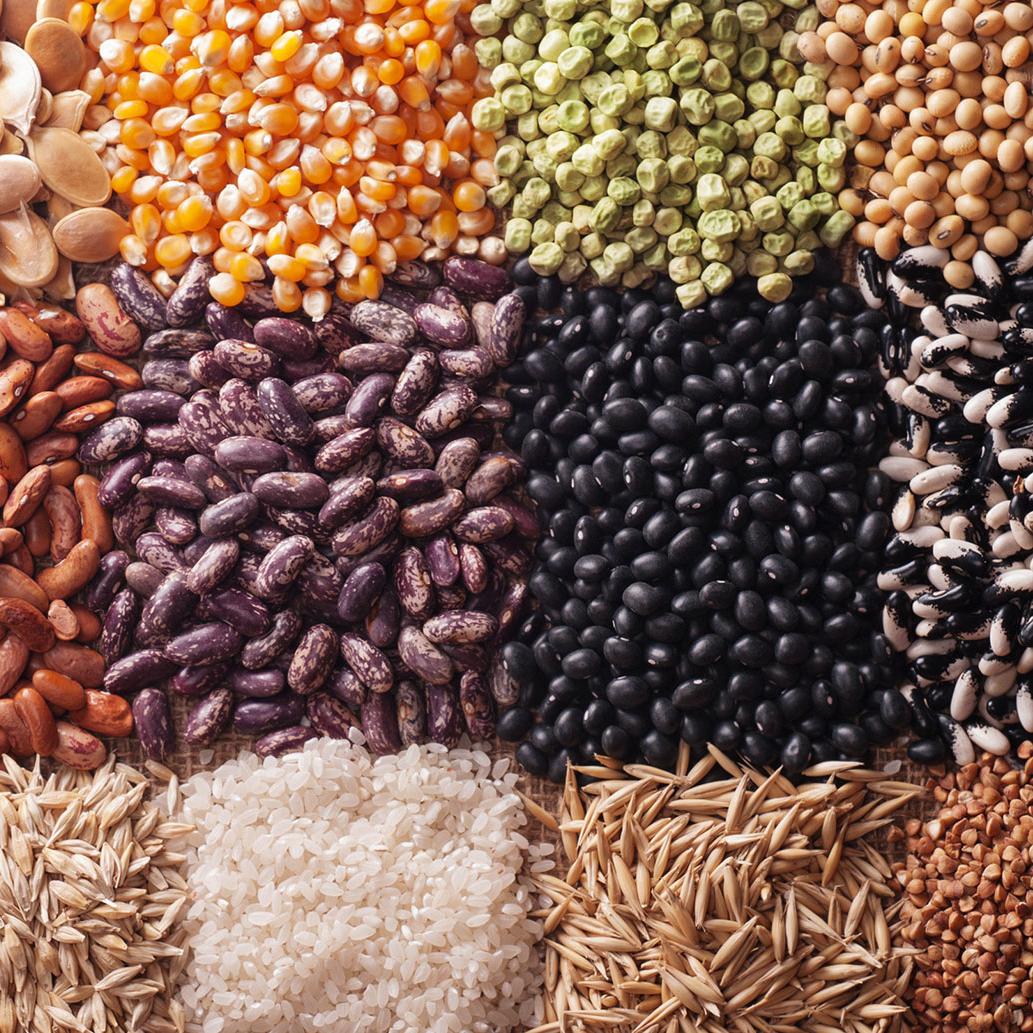 不同的谷物相邻摆放，小麦、玉米、豆荚、大米、黄豆