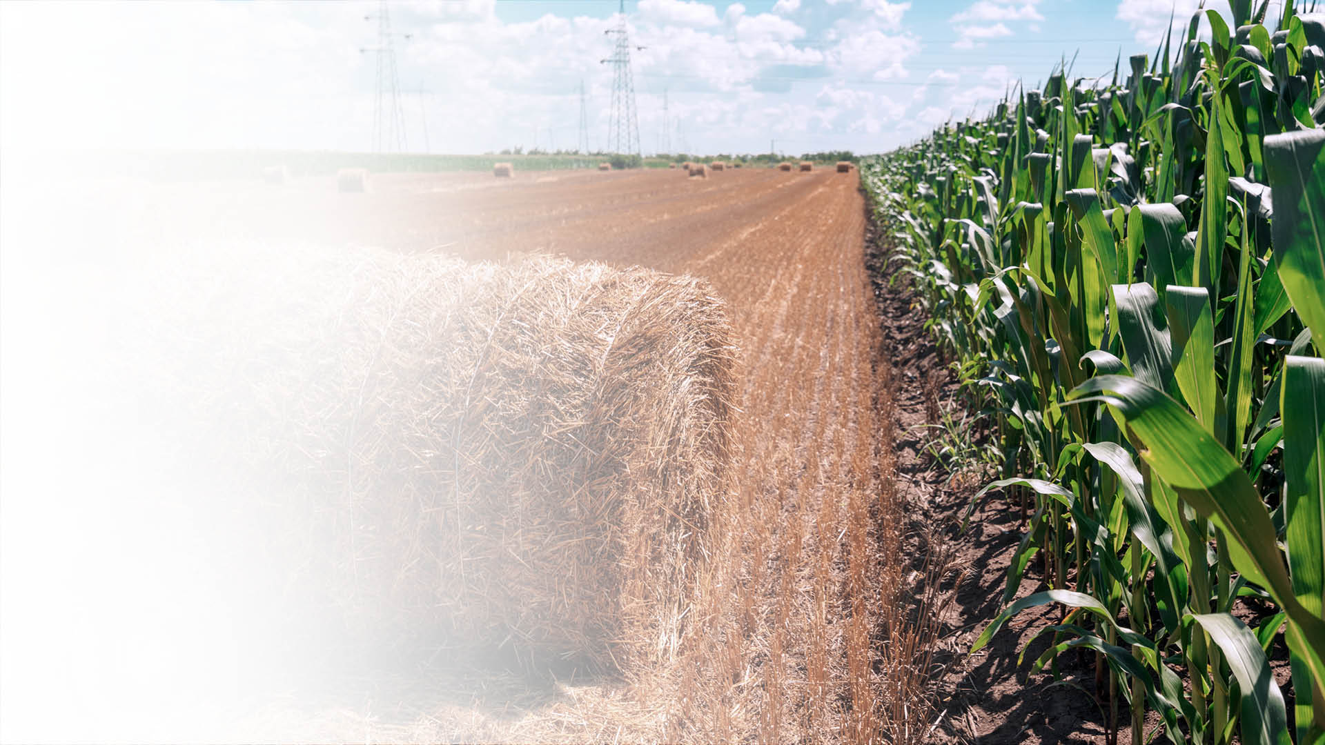 以干草捆和玉米田的图片代表农业应用领域